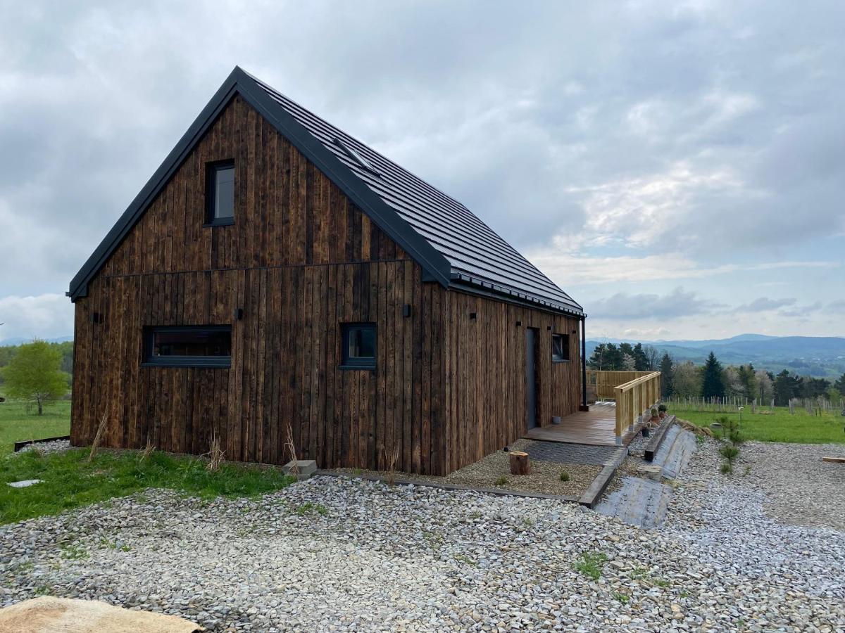 Domek Przy Debrzy Poraz Exterior photo